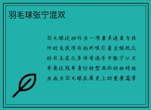 羽毛球张宁混双